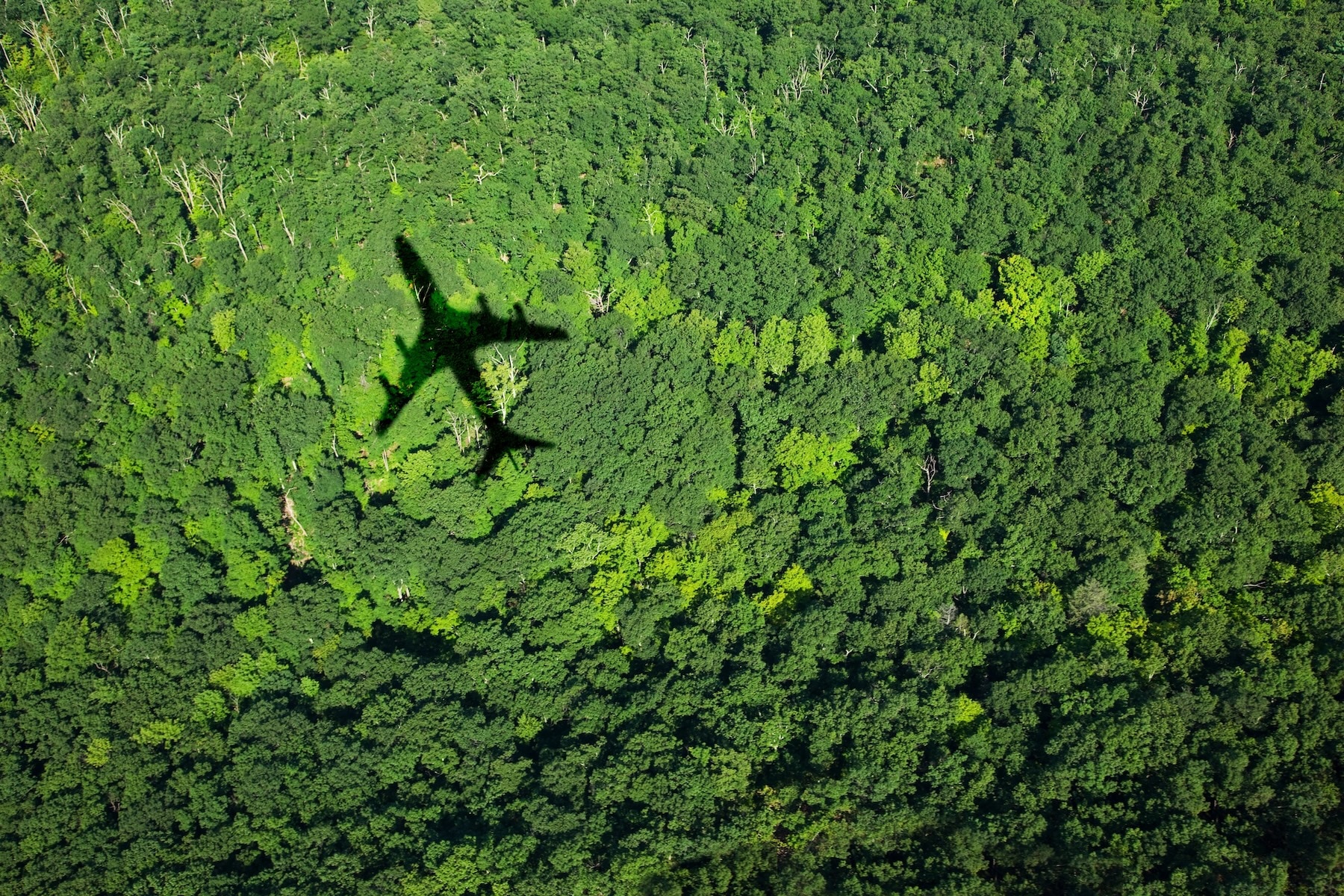 Solving the Business Travel Sustainability Puzzle