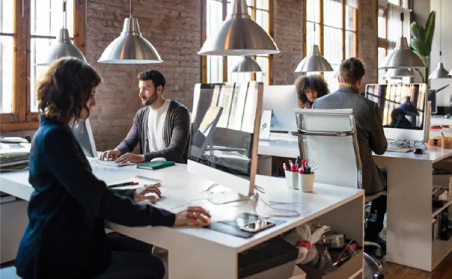 group of people in office