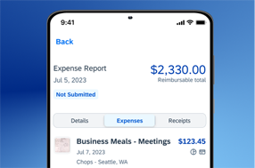 Screenshot of Concur Expense